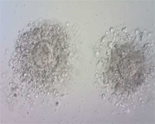 借卵生男孩儿,重推天津排名前八试管助孕机构