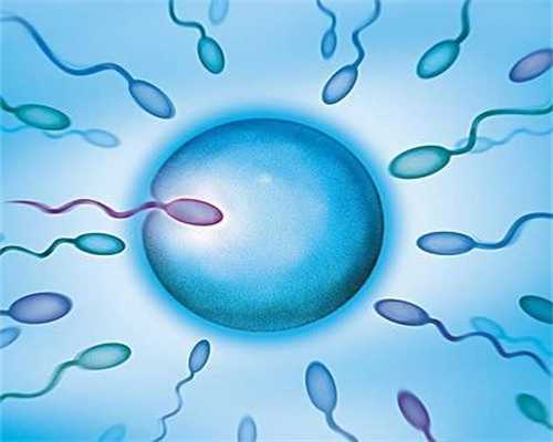 供卵试管机构_借卵试管多钱,海口试管婴儿费用海口试管婴儿