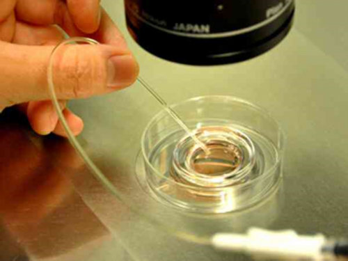 妈富隆的禁卖渠道