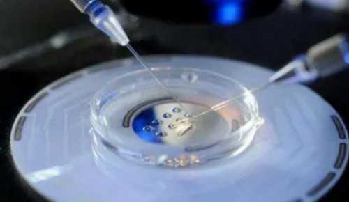 供卵最靠谱的地方_怎么联系金贝供卵,2026
湖北省供卵机构排名，试管供卵助孕