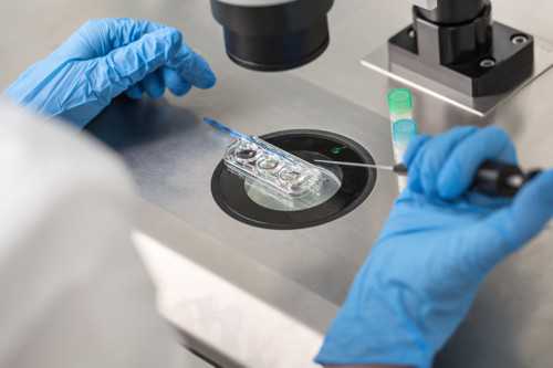 三代试管流程_借卵做试管,北京正规试管医院一次试管多少钱