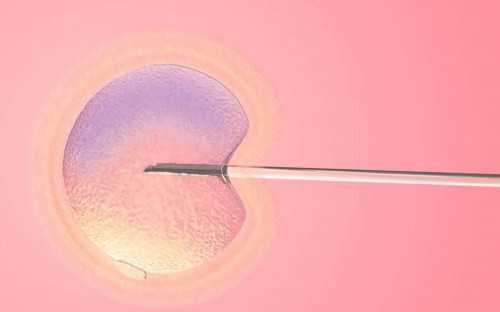 金贝供卵试管的费用_金贝供卵价格表|43岁做三代试管婴儿迟吗?需要做什么准备