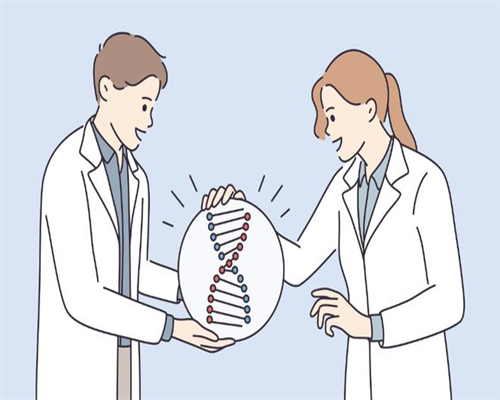 助孕提供卵子,现在做滁州助孕第三代试管婴儿贵吗