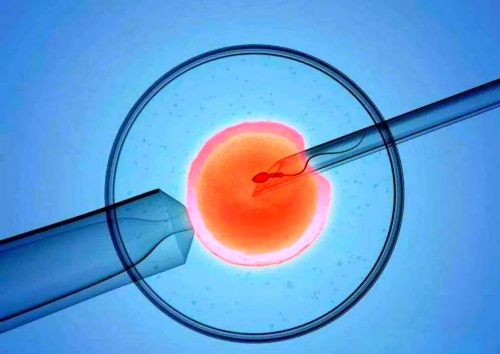 金贝供卵生殖中心官网_广州金贝试管中心地址官网|哈尔滨供卵15万包生男孩没