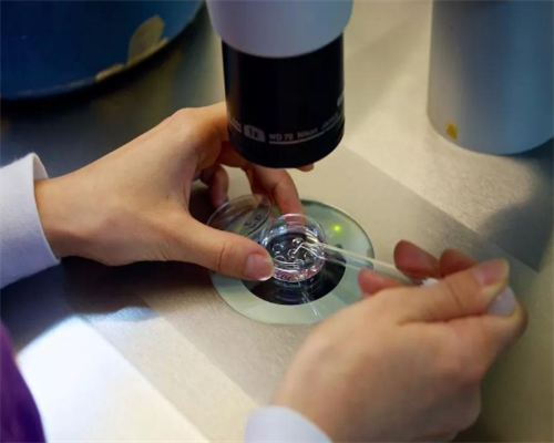 代怀生宝宝,鄂州哪里能做第三代助孕试管婴儿？