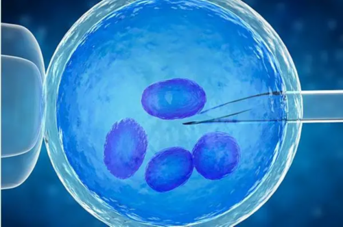 知名代孕哪家好,第三代试管婴儿助孕可顺利生育二胎