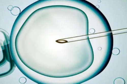 借卵子自怀,南阳试管助孕生混血宝宝要花多少钱