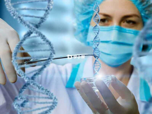 专业代孕包男孩,珠海试管助孕生子助孕机构多少钱