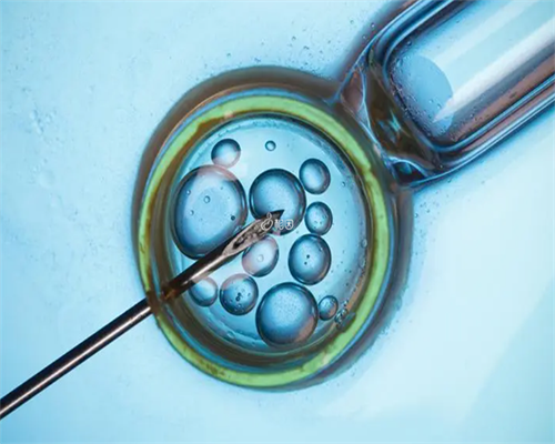 供卵供卵试管_安医试管捐卵,北京我想给别人试管_正规试管中心