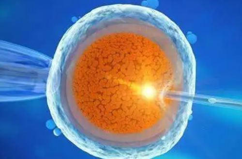 供卵生宝宝价格_最大供卵哪家好,北京供卵费用多少（中国试管用供卵需要多少