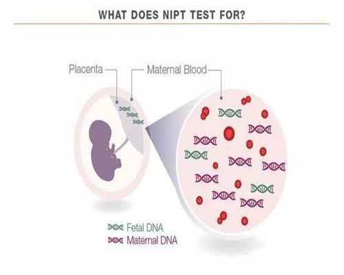 试管生男孩_三代试管过程,[三代试管武汉]仙桃三代试管能不能选男女
