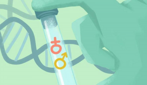 靠谱代生网,吉林供卵供卵代怀助孕微信（北京供卵代怀微信群）