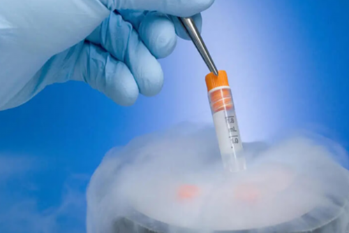 代孕公司供卵,吃什么水果助孕效果最佳