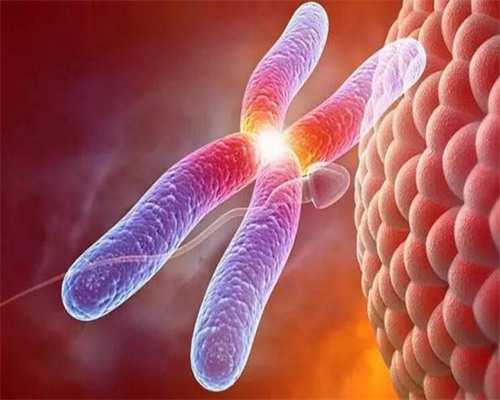 46岁失独母亲已绝经做供卵试管的成功案例有哪些？