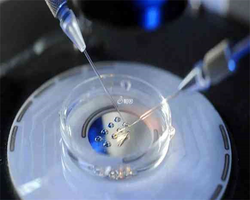 借卵生子公司,吃什么帮助孕妇排毒