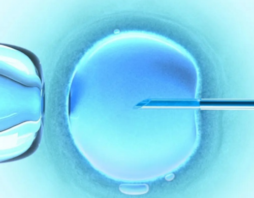 金贝生殖中心官网_有被金贝供卵骗过的人吗|2026鄂尔多斯妇产医院试管婴儿花费