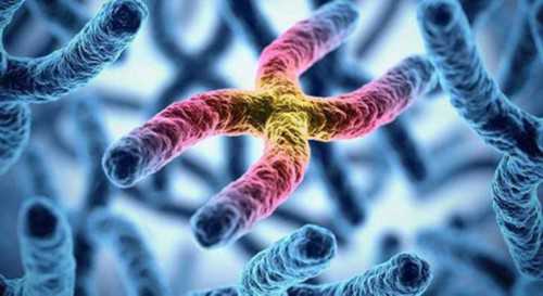 省供卵试管婴儿_供卵试管生子,威海供卵试管婴儿个人空间,信阳供卵试管婴儿个