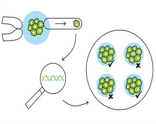 三代试管价格_试管费用,日照供卵试管（枣庄三代试管）