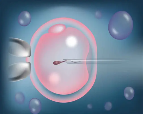 代生孩子费用,北京比较大的助孕机构-正规试管公司