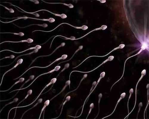 供卵者_供卵告诉孩子吗,北京供卵试管正规的试管医院，内附供精供卵价格表