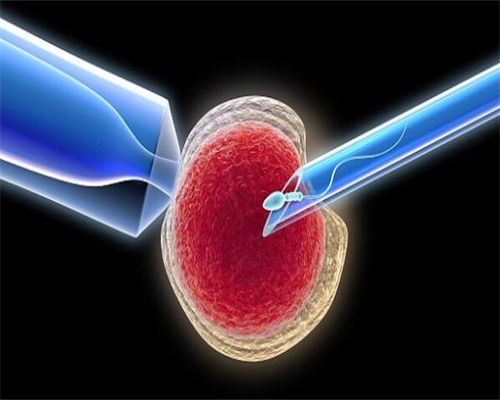 最好代孕网,池州助孕医院提醒大家经历3次绝望习惯性流产，32天美国试管之路