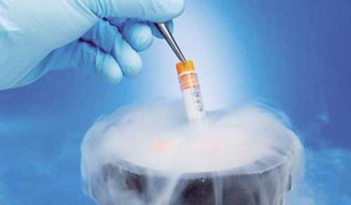 金贝供卵中心官网_金贝供卵怎么样,多钱|广西三代试管供卵选男孩医院排名？附