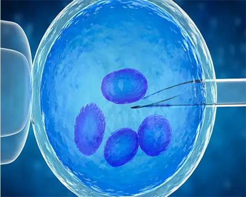 供卵试管婴儿生子_供卵过程,上海供卵试管供卵助孕机构排行榜？