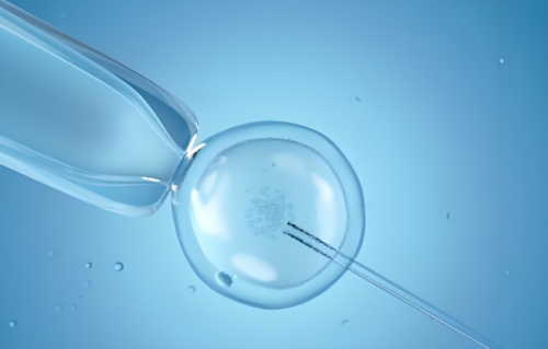 提供卵巢早衰借卵_供卵试管痛苦吗,北京丁克家庭如何找他人生育-供卵供卵试管