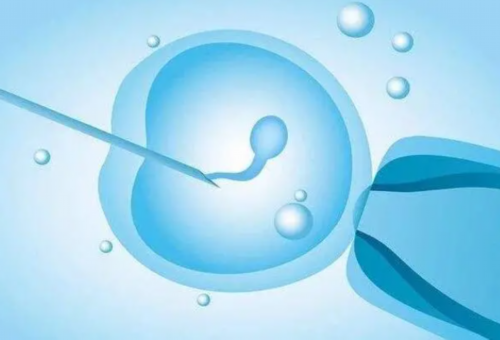 包成功套餐,供卵贵不贵,韶关三代供卵代怀助孕生龙凤胎要花多少钱