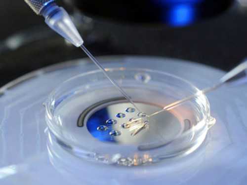 医院供卵成功_哪里有正规的供卵,北京供卵包男孩费用多少（台湾供卵试管费用