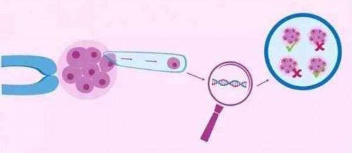 厦门市生育金的申领需要满足什么条件？什么时候可以领取？