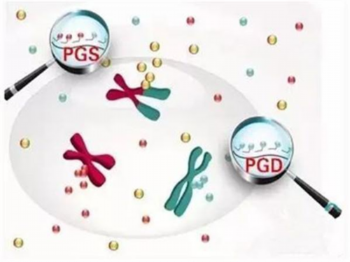 怀孕8周注意事项（孕妇健康保健指南）