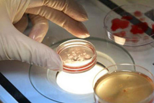 试管供卵多钱_正规供卵试管,北京试管包成功_正规试管生子机构