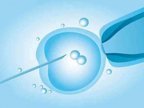 哪家代孕公司好,排卵期喝红酒会助孕吗