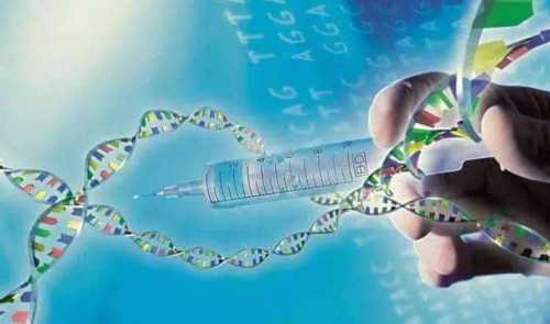 供卵代生在哪,陕西省2026
年试管婴儿助孕费用指南，附网友助孕经验分享