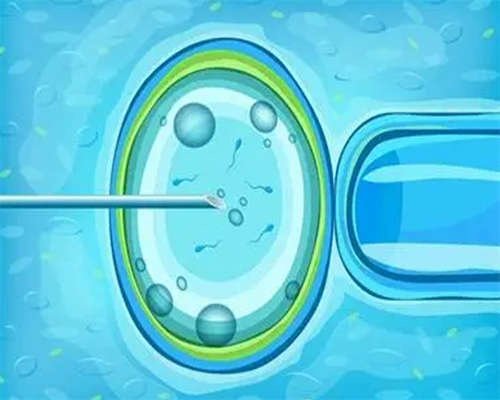 供卵生男孩,北京比较大的助孕机构-正规试管公司