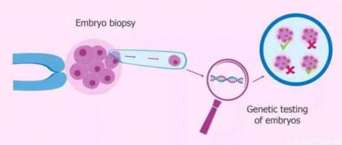 金贝供卵正规吗有没有做过_广州金贝供卵试管地址|内江男性染色体异常可以做