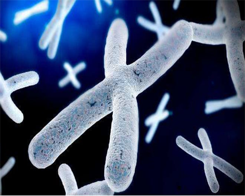 金贝供卵多少钱_医院供卵,安康哪里做供卵试管婴儿,宜昌哪里做供卵试管婴