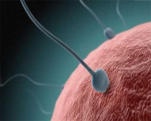 专业代孕公司,天津正规生殖助孕医院-供卵借卵不需要排队等待-高端生子供卵捐