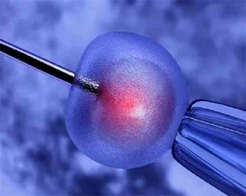 第三代试管_多囊试管费用,试管要点!亳州试管最好医院排名？