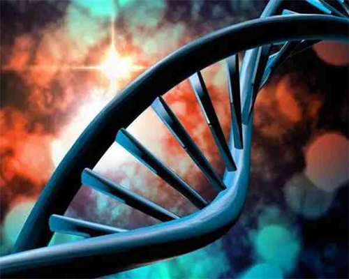 代生包成功,供卵市场价,做滁州助孕供卵代怀婴儿的过程分为哪几步