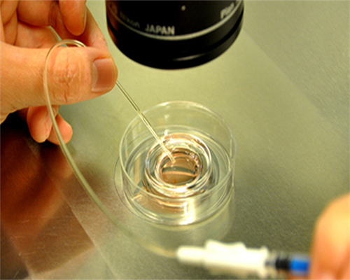 供卵流程是怎样的_泰国家恩德运供卵,北京公立医院供卵价格，三代试管供卵费