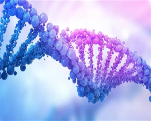 供卵上试管_三代试管介绍,湛江三代试管包成功-医院三代试管