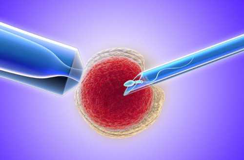 人医试管费用_三代试管流程,自己去泰国做试管做试管婴儿生下三胞胎
