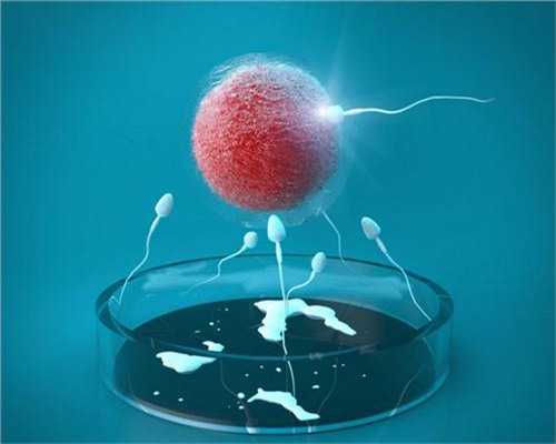 金贝试管中心官网_金贝供卵医院靠谱吗|2026石家庄市妇产医院供卵试管排队时长