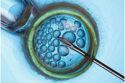 男方弱精症做试管婴儿成功率高吗