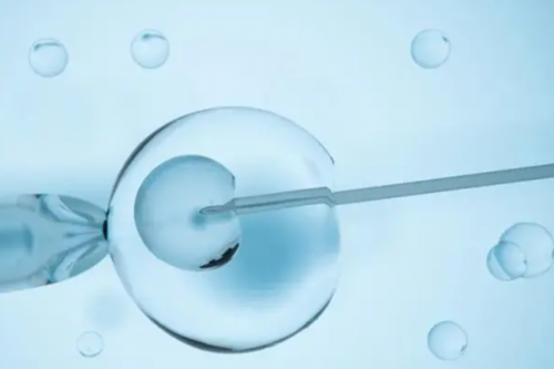 医院收卵子吗,北京助孕联系方式电话号码是多少啊