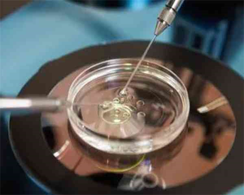 代孕哪家做的好,哈尔滨三代试管助孕医院