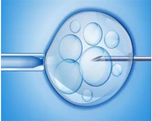 捐卵做试管了_三代试管条件,，试管妊娠北京试管供卵公司排名