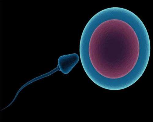 徐州妇幼做供卵试管费用多少，准备10万绰绰有余！